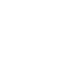 expertise icon